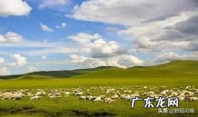 古诗中有没有普通人写的名诗?你喜欢哪首?