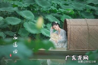 古诗中有没有普通人写的名诗?你喜欢哪首?