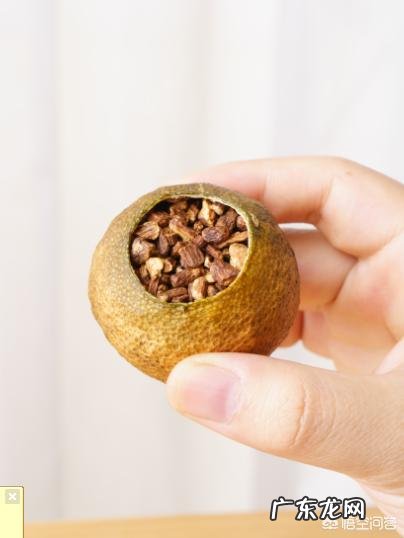 陈皮,决明子,柠檬,在一起泡水喝,可以减肥吗?