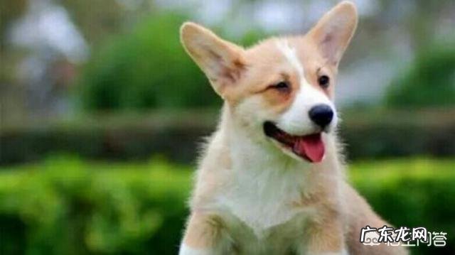 宝贝拉绿色的便便,正常吗?