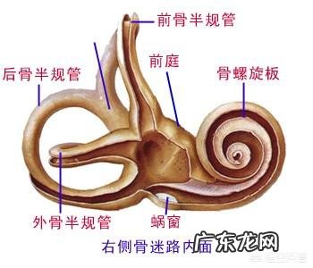 梅尼埃症的症状是怎样的?