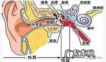 急性中耳炎一般有什么症状?