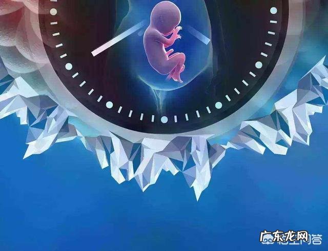 什么会影响卵子的质量?