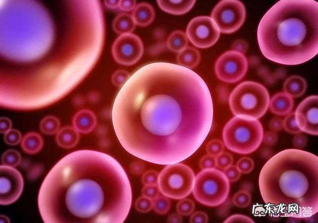 什么会影响卵子的质量?