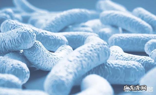 减肥期间饮食要怎么安排，减肥之后呢？