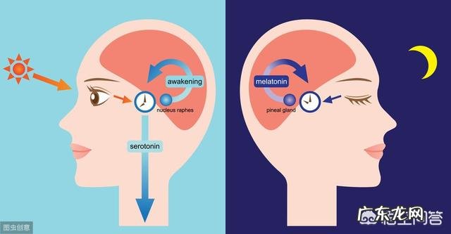 宝宝睡眠黑白颠倒是怎么回事？