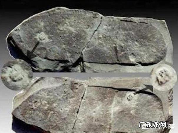 科学家发现,数十亿年前不应该存在的东西,史前文明真的存在吗?