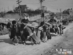 为什么以前人的头发里会长虱子？是因为毛多吗？