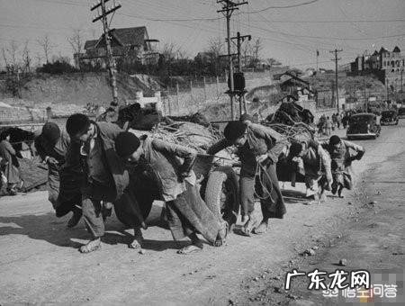 为什么以前人的头发里会长虱子?是因为毛多吗?