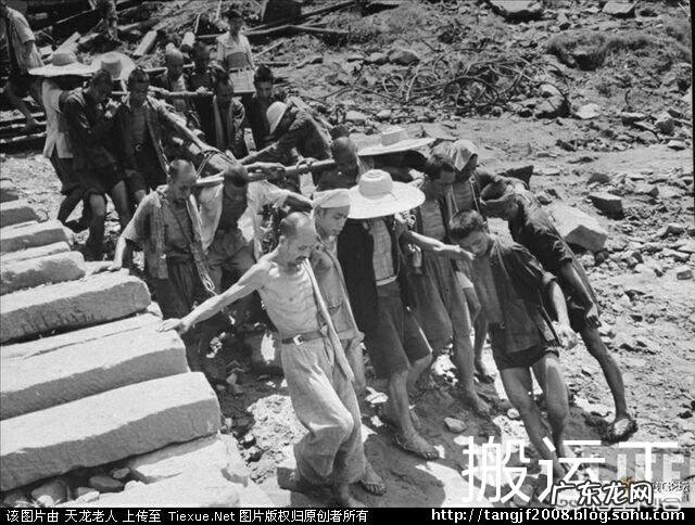 为什么以前人的头发里会长虱子?是因为毛多吗?