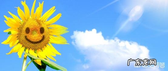 隔着玻璃晒太阳能补钙吗?