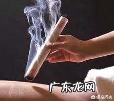 艾蒿怎么用?