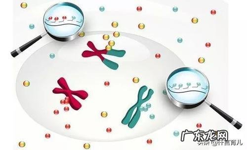 孩子发育慢，个子比较矮，应该怎么办？