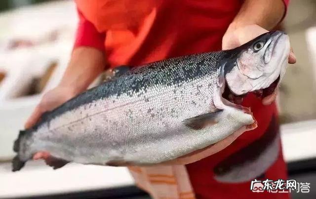 女性经常吃什么对皮肤比较好？