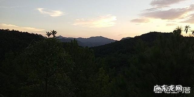 你们中秋节除了吃月饼,还有哪些美食呢?