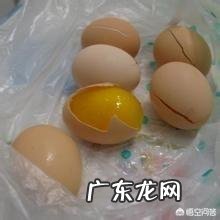 有没有人造鸡蛋呢?怎样识别人造鸡蛋?