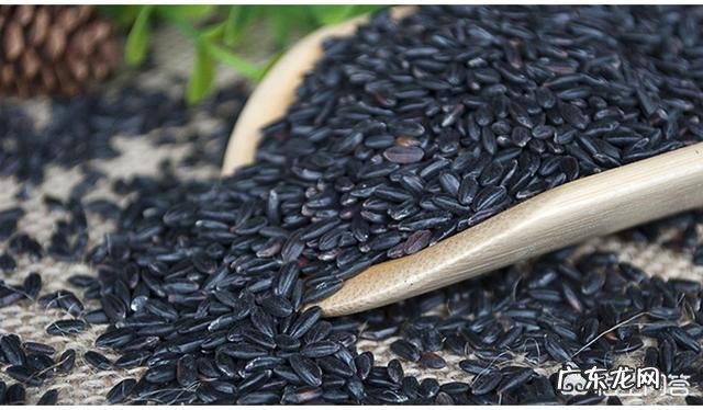 天天喝豆浆好吗？