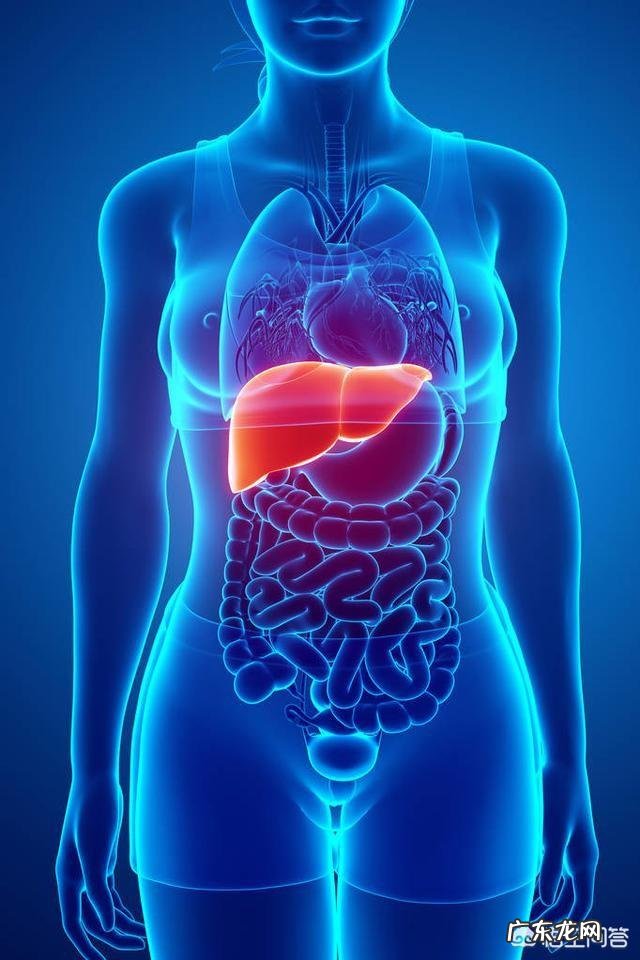 甲肝、乙肝、丙肝有什么区别?