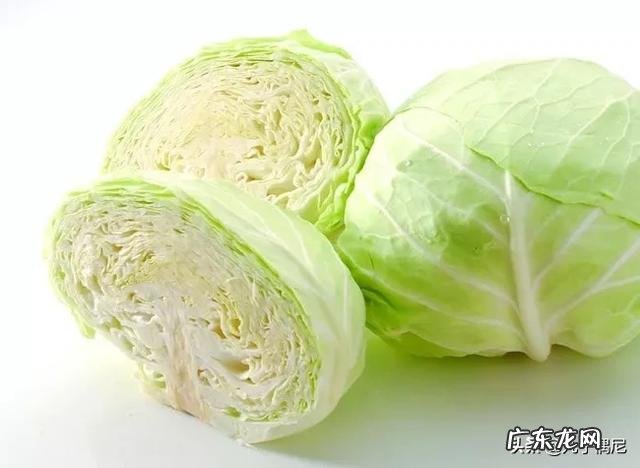 十分常见的卷心菜，女性坚持吃一段时间会有什么好处？