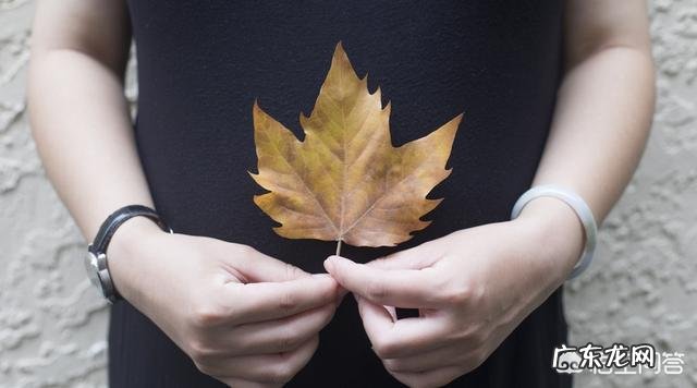 孕妈妈如何保护好牙齿?