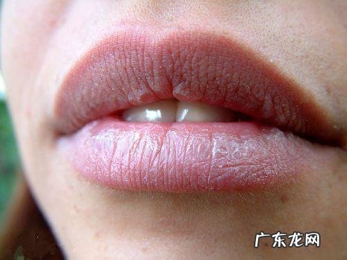 润唇膏和唇膜哪个更好?有哪些唇部护理好物推荐?