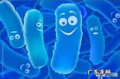 想给宝宝买益生菌,不知道什么牌子好,亲们有推荐的吗?