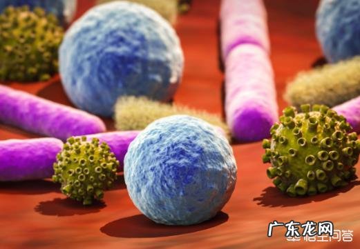 想给宝宝买益生菌,不知道什么牌子好,亲们有推荐的吗?