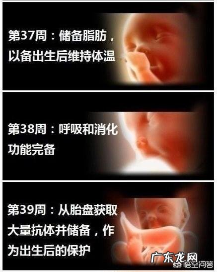 孕32周能剖腹产吗?什么情况适合剖腹产?