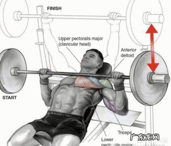 女生如何健身不减胸?