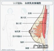 女生如何健身不减胸？