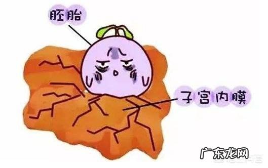 流产后多久才能再次备孕?