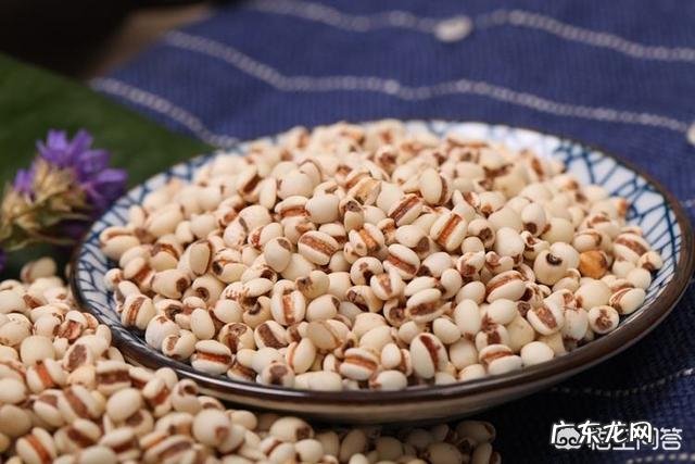 除去体内湿气的粥有哪些?