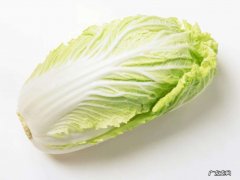 白菜怎么存放冰箱里