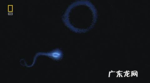 为什么怀孕前三个月是危险期？