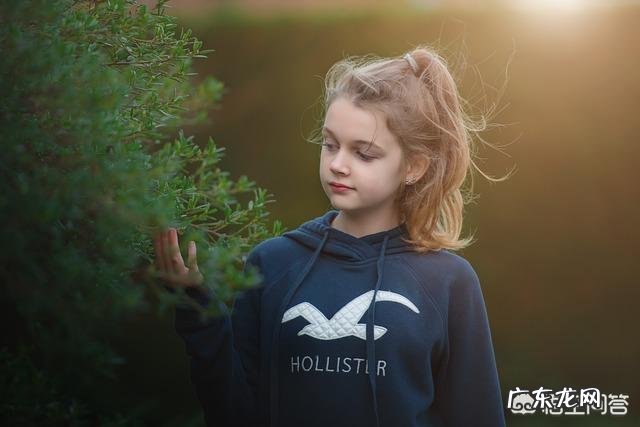 孩子被别的小朋友打了,该不该打回去呢?你怎么看?