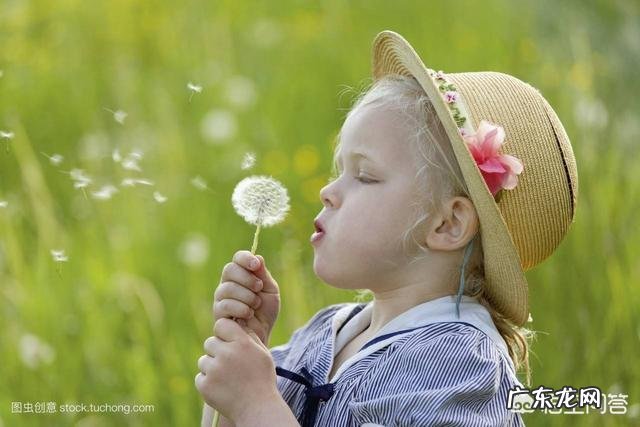 怎么才能做一个总能被生活感动的人?