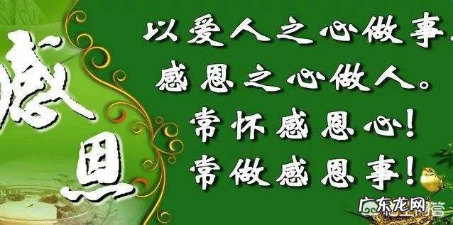 怎么才能做一个总能被生活感动的人?