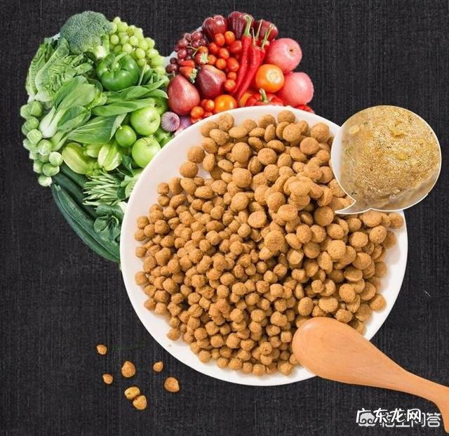 一个月大的狗狗该怎么喂养？