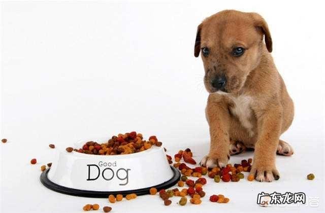 一个月大的狗狗该怎么喂养？