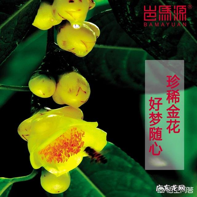 坐月子期间如何祛斑美白?