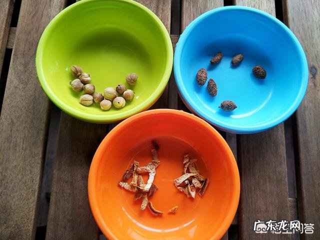 孩子消化不良有什么症状,该怎么调理?