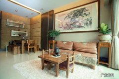 家中南面摆放什么风水好