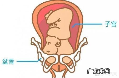 如何判断胎儿是否入盆?