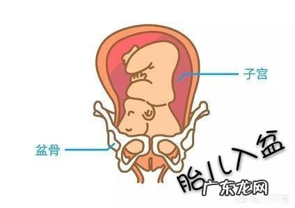 如何判断胎儿是否入盆?