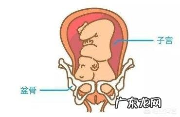 如何判断胎儿是否入盆？