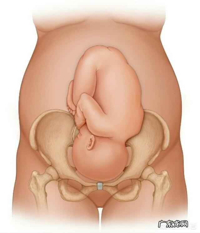 如何判断胎儿是否入盆?