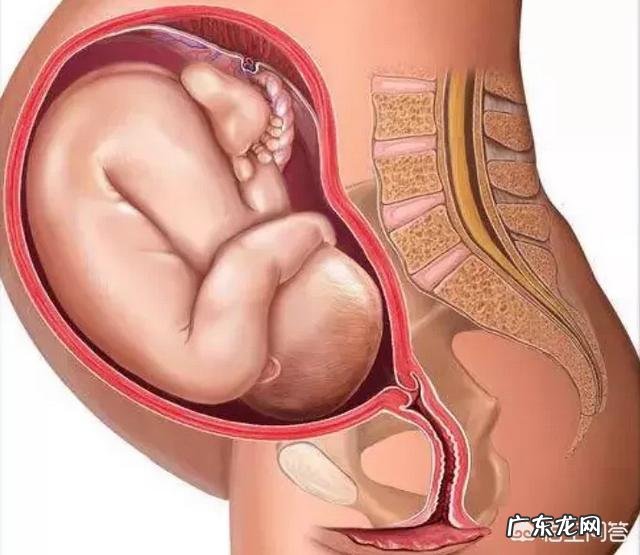 如何判断胎儿是否入盆?