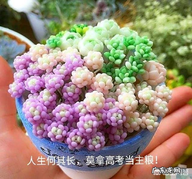 关于高考，你有什么话想说？