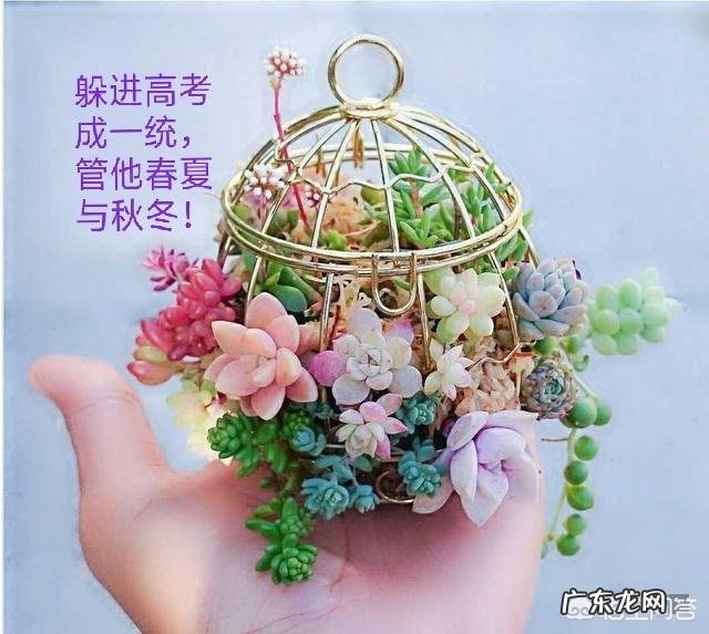 关于高考，你有什么话想说？