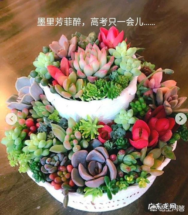 关于高考，你有什么话想说？